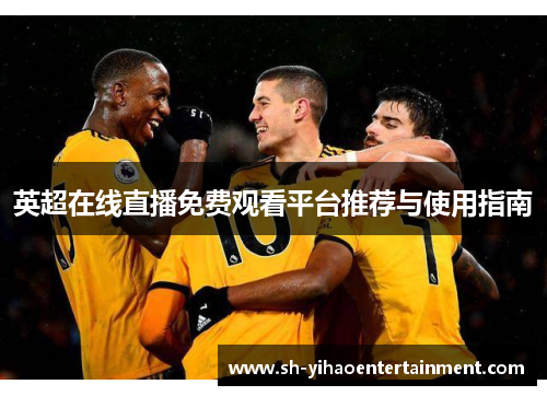 英超在线直播免费观看平台推荐与使用指南